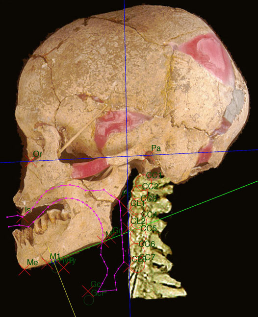Les hommes de Mechta-Afalou d'Algérie